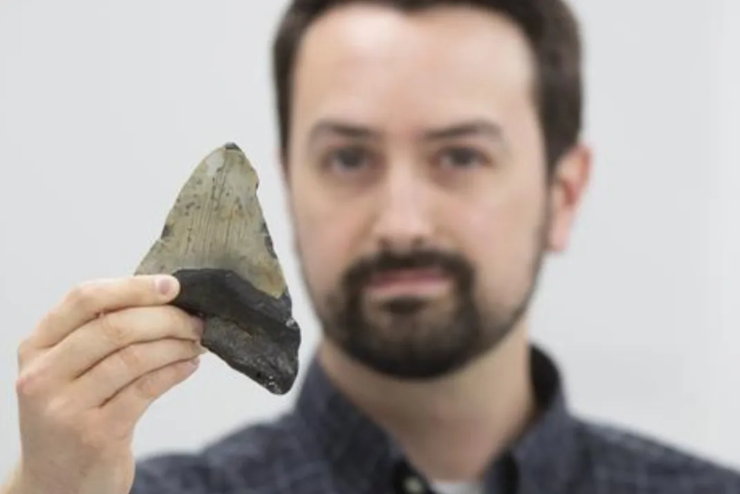 Jeremy McCormack with a fossilized megalodon tooth.