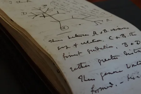 A page from Darwin&#39;s 1837 notebook showing the Tree of Life sketch.