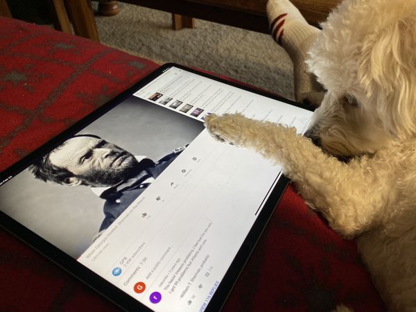 Dog amusing herself with tablet thumbnail