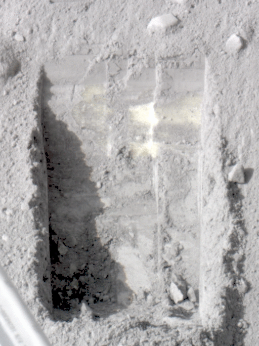 The Phoenix Mars lander finds what it came looking for.