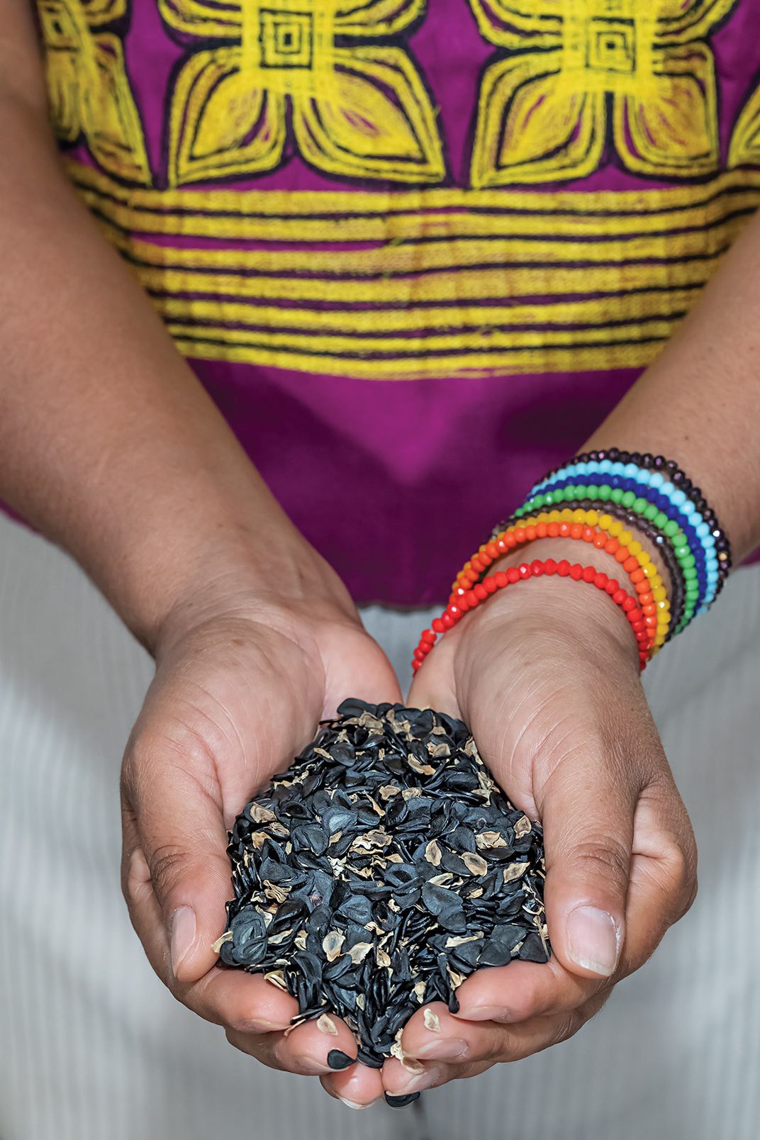 agave seeds at Real Minero