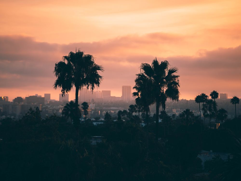 LA skyline