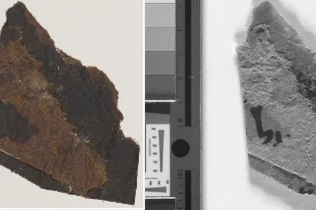 New fragments of the Dead Sea Scrolls with writing visible.