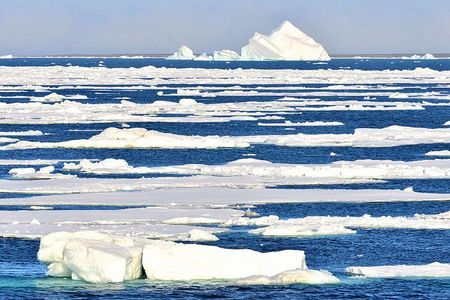 Satellite records show a 13 percent decrease in sea ice per decade since the 1980s.

