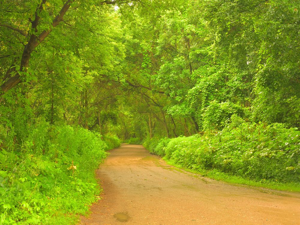 Intervale Road Smithsonian Photo Contest Smithsonian Magazine