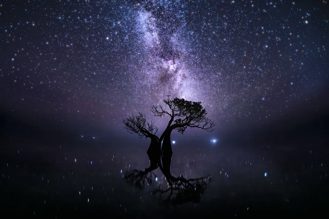 a starry sky with the Milky Way visible, glowing purple, above a single mangrove tree