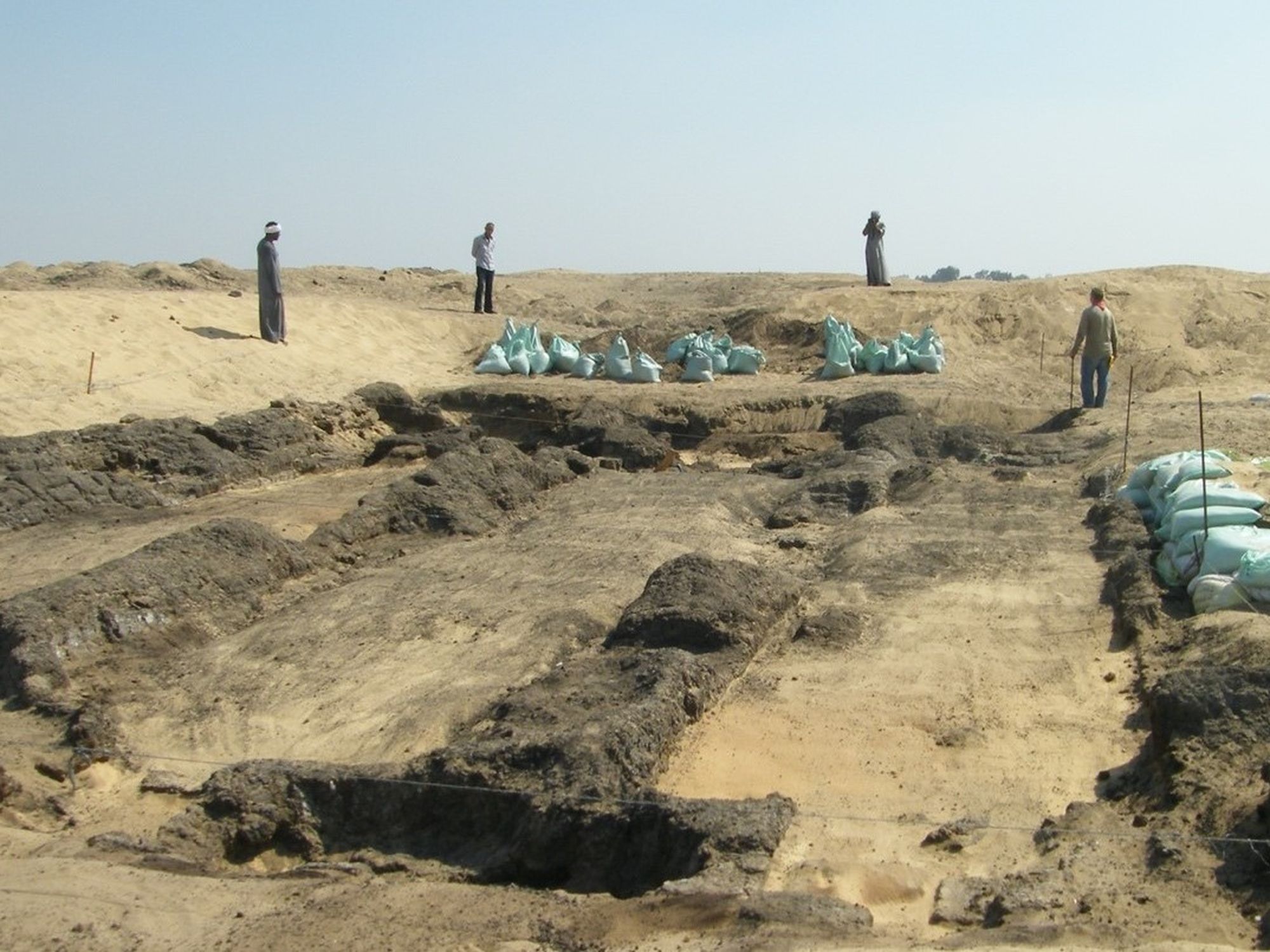 Mummified Shrew Discovery Unearths Ancient Egypt’s Wetter Climate ...