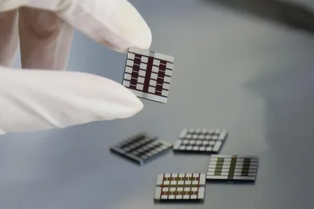 A group of perovskite solar cells that have been treated with capsaicin.
