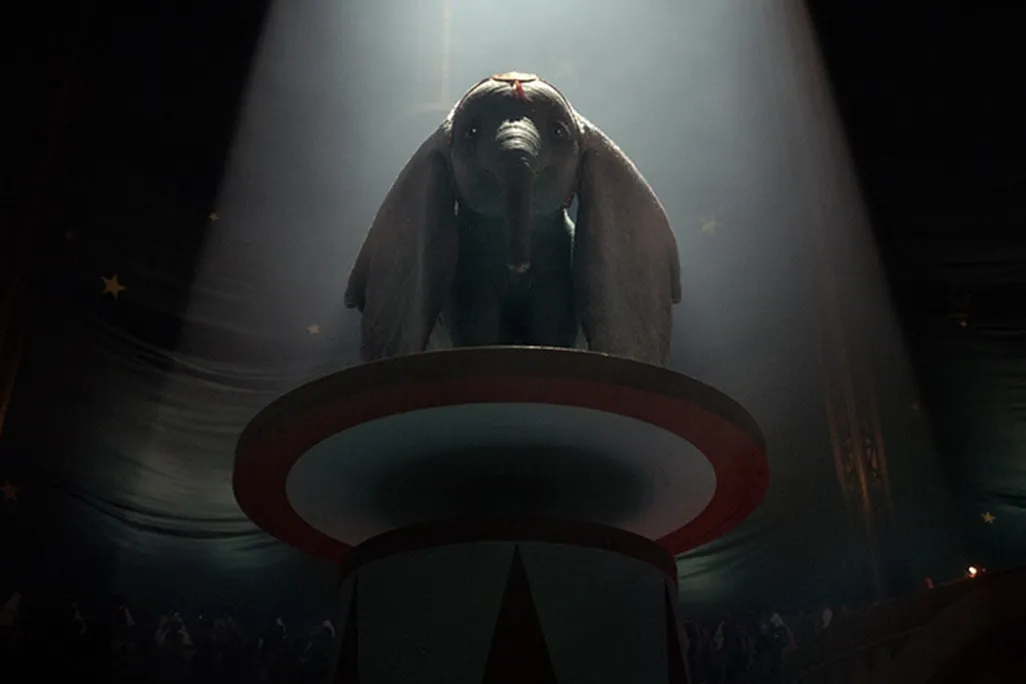 Dumbo