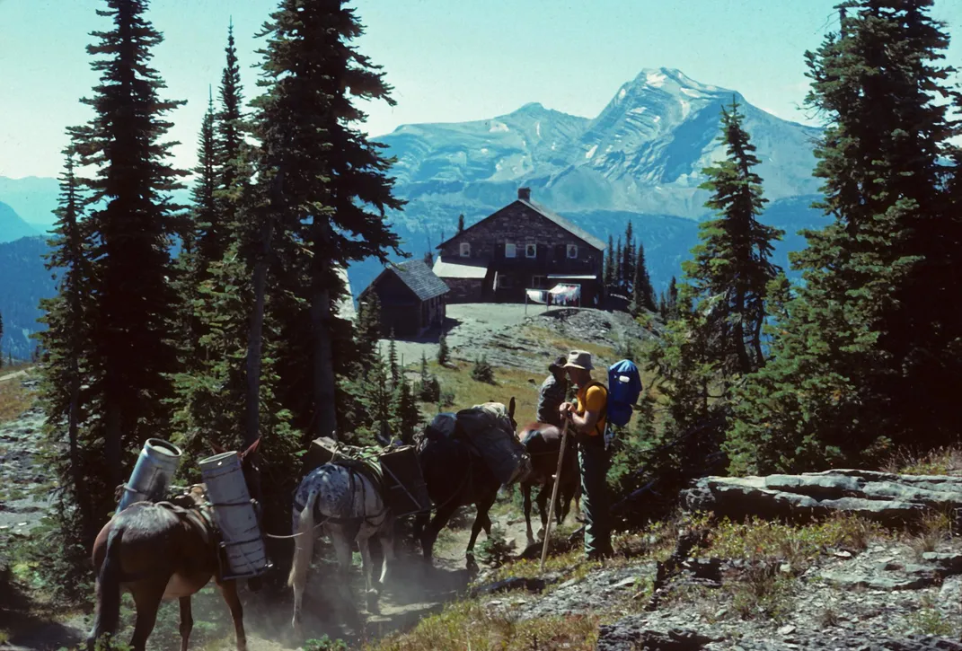 The Deadly Grizzly Bear Attacks That Changed the National Park