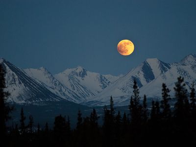 A full moon rises in Denali National Park and Preserve in Alaska.&nbsp;The full moon this week is the closest one of the year.