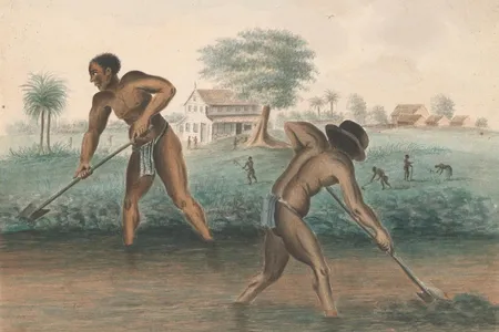Anonymous, Enslaved Men Digging Trenches, c. 1850