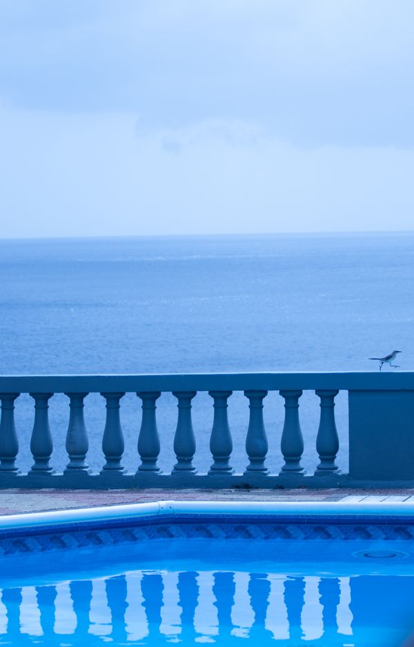 Scampered out of Frame thumbnail