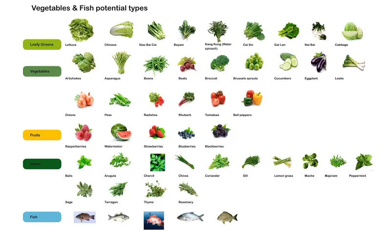 Are Floating Farms in Our Future?