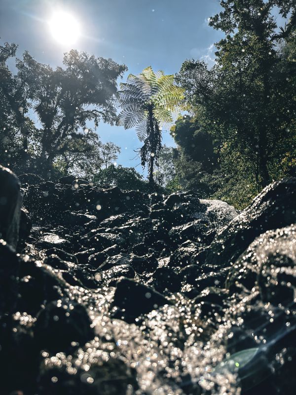 Sunlit Cascades of Sewu Falls thumbnail