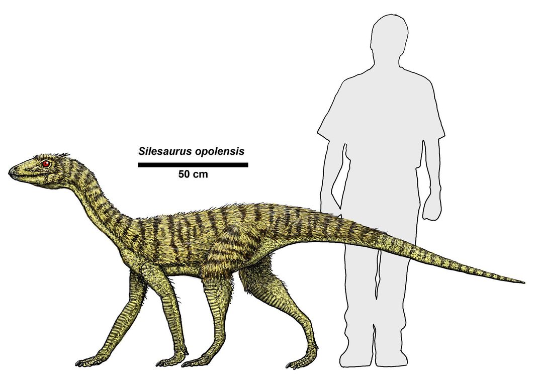 Silesaurus artist’s impression 