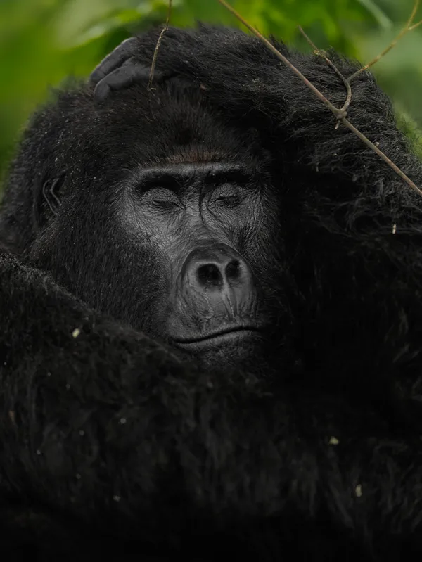 Silent Sorrow – A Moment of Stillness thumbnail