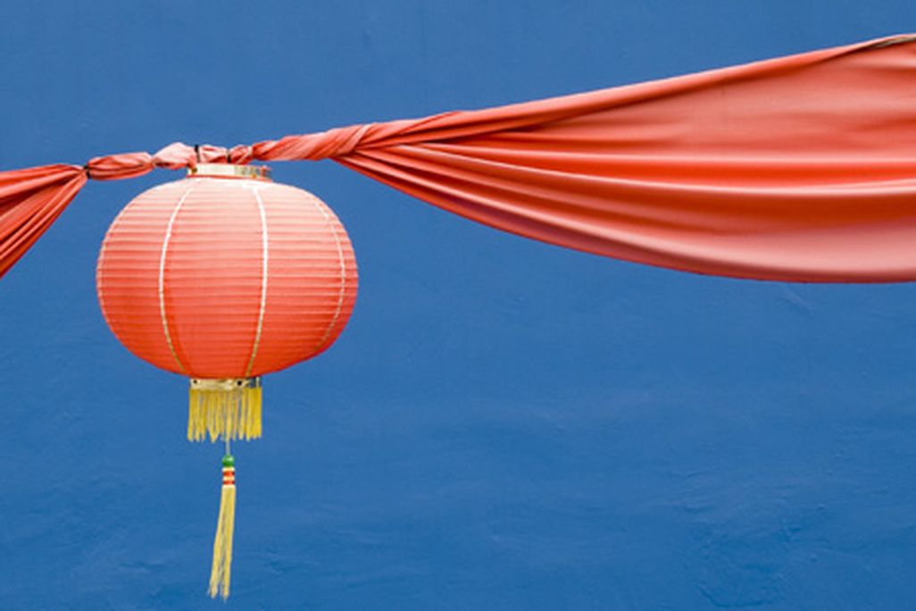 chinese-rat-631.jpg