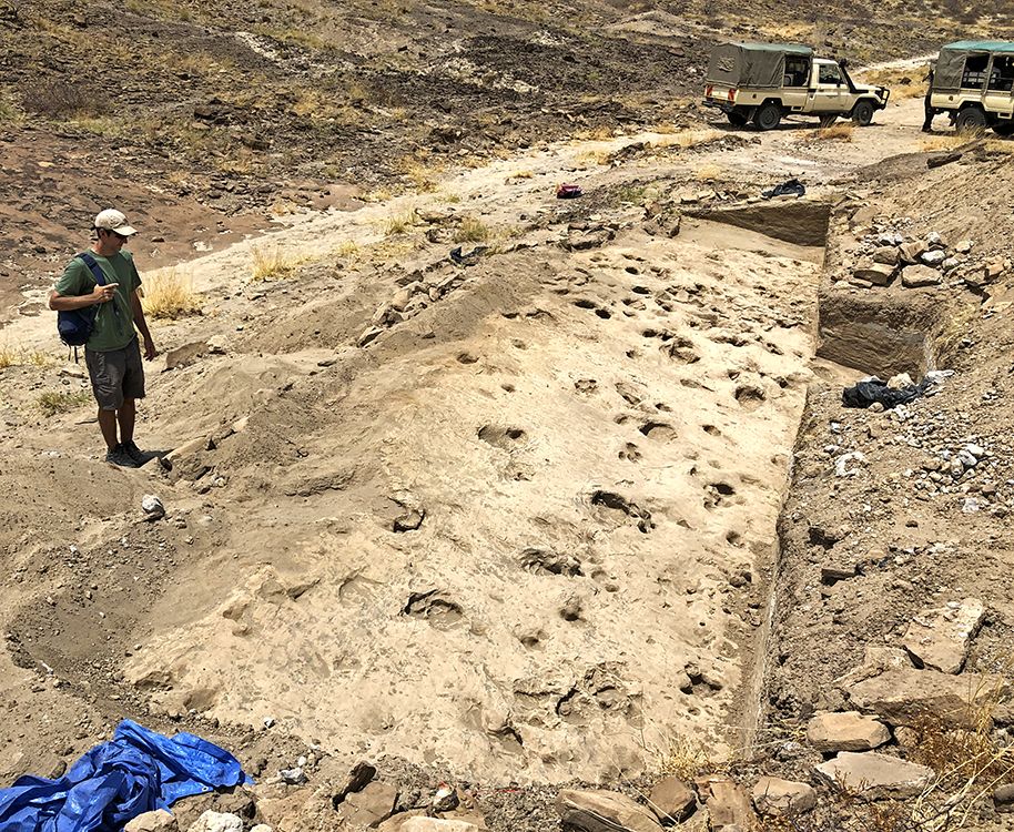 Ancient Fossil Footsteps Found in Kenya May Hint That an Early Human Relative Was Larger Than Previously Thought