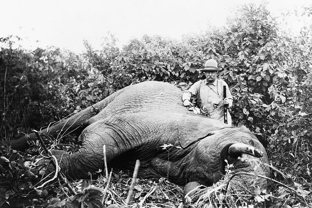 Roosevelt standing next to the elephant he shot on safari