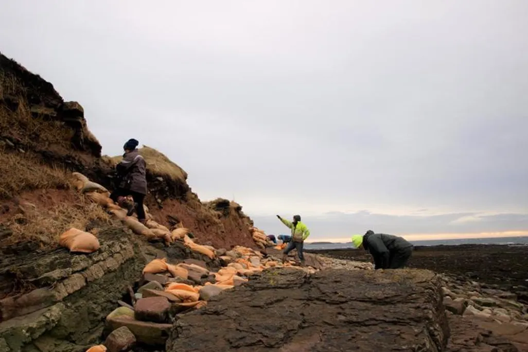 Volunteers moving sandbags