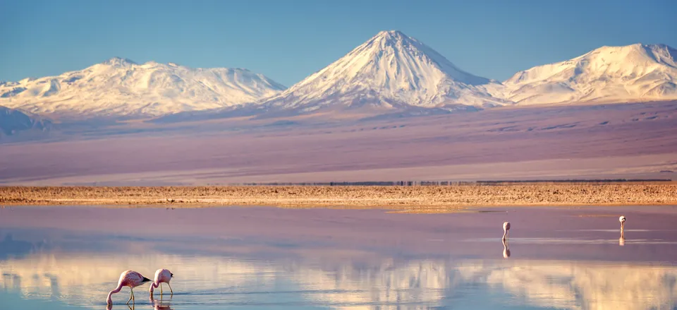  Landscape of Licancabur Volcano, the Andes, and flamingos, Atacama 