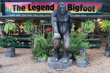 Lloyd's of London is offering $10 million to anybody who proves Bigfoot exists.