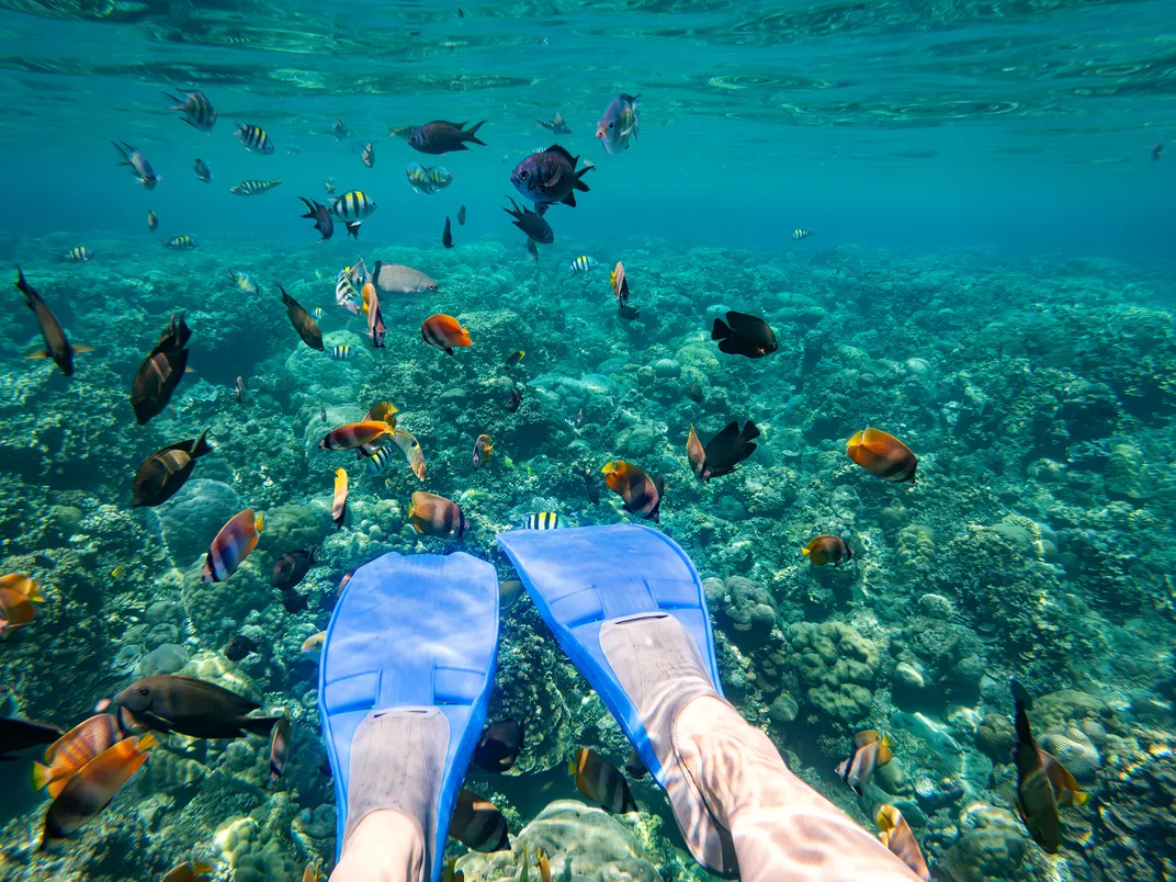 Snorkeling in Bali