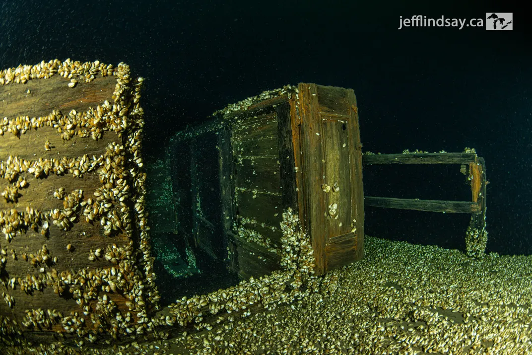View of a shipwreck covered in mussels