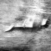 Loch Ness Monster Lovers Come Together for Biggest Hunt in 50 Years icon
