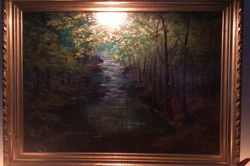 Forest With A Stream