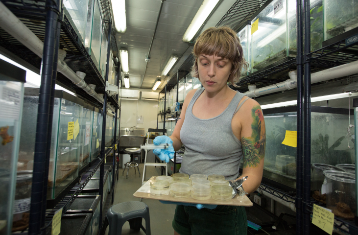 Kathleen Higgins at Gamboa Amphibian Rescue and Conservation Center. Credit: Sean Mattson