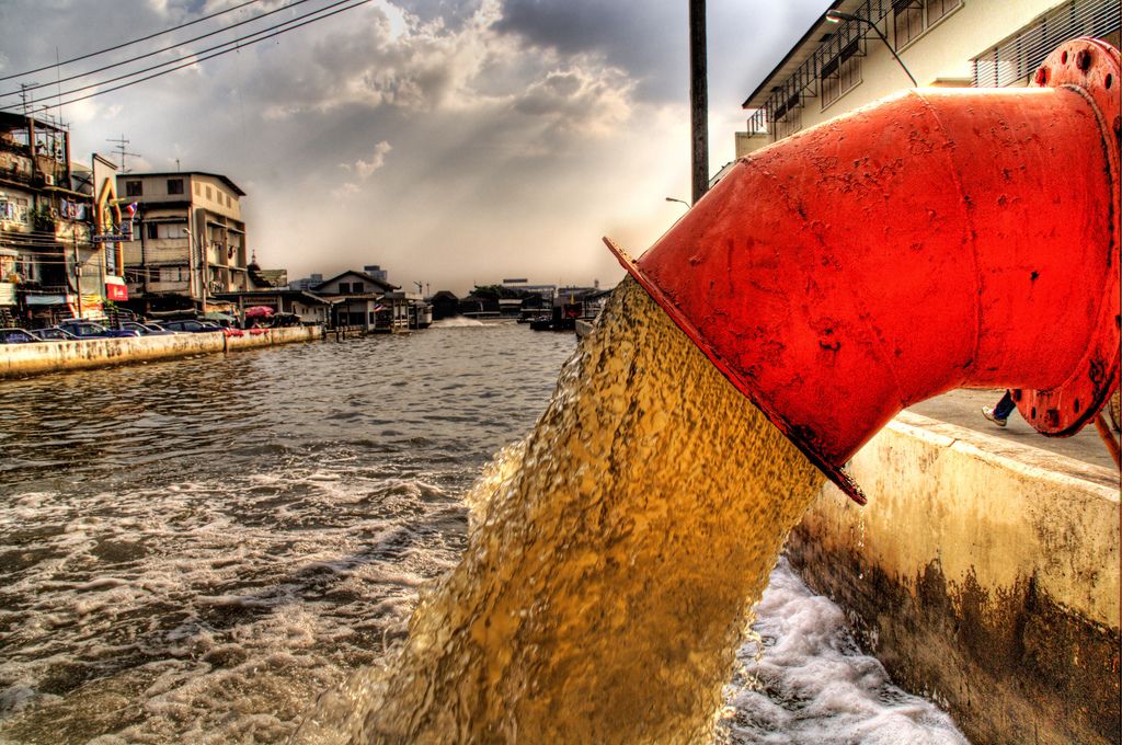 Sewage-water-reveals