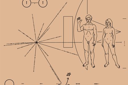 We hoped extraterrestrials could decode the plaque attached to the Pioneer spacecraft in the 1970s. Would we be able to figure out theirs?