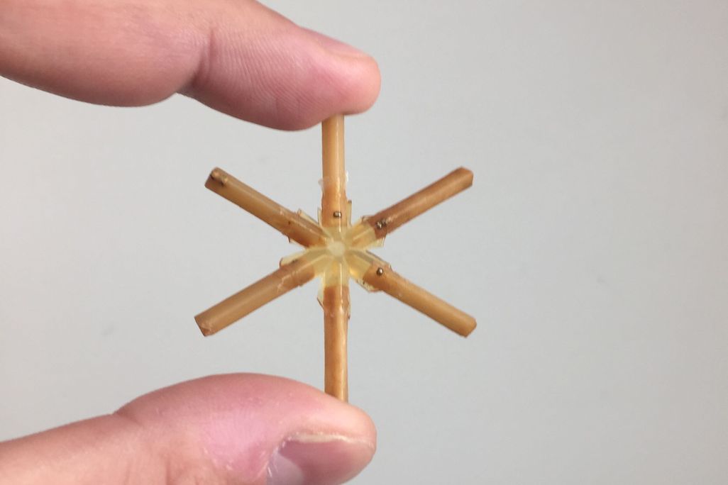 Starfish drug delivery system