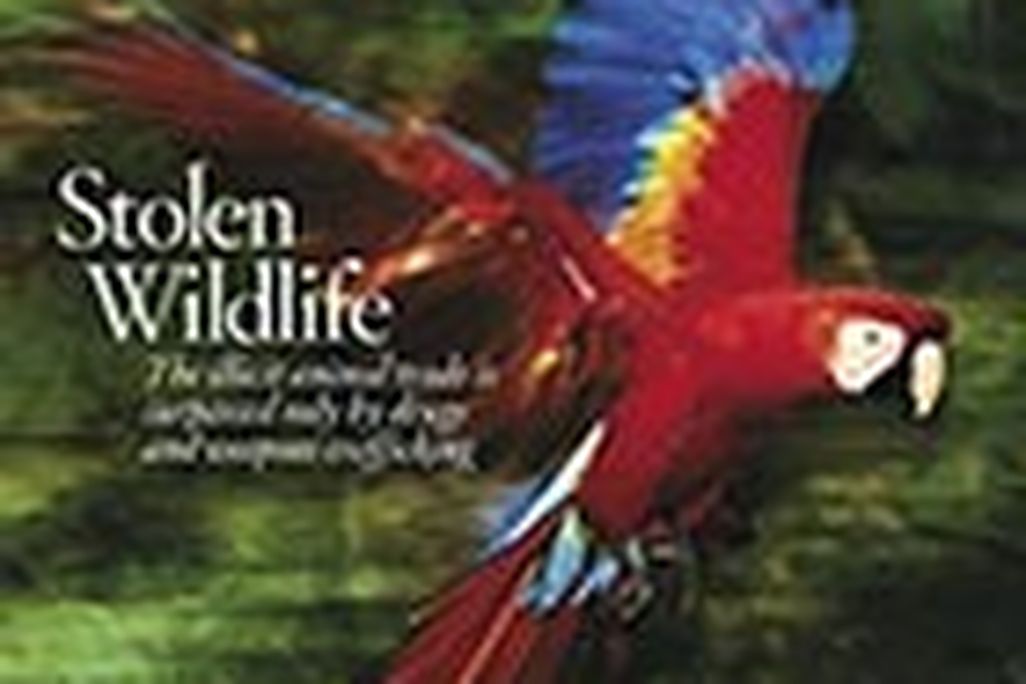20110520102314200912_cover.jpg