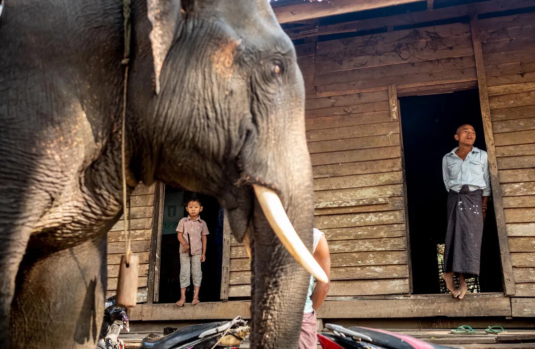 A mahout returns home to his family