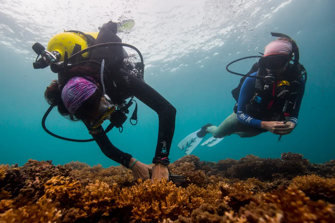 How a Former Penal Colony in Panama Became a Biodiversity Hotspot