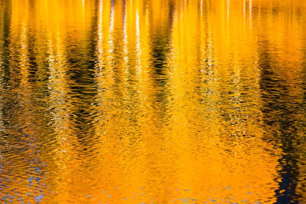 Aspen Autumn Mirror thumbnail