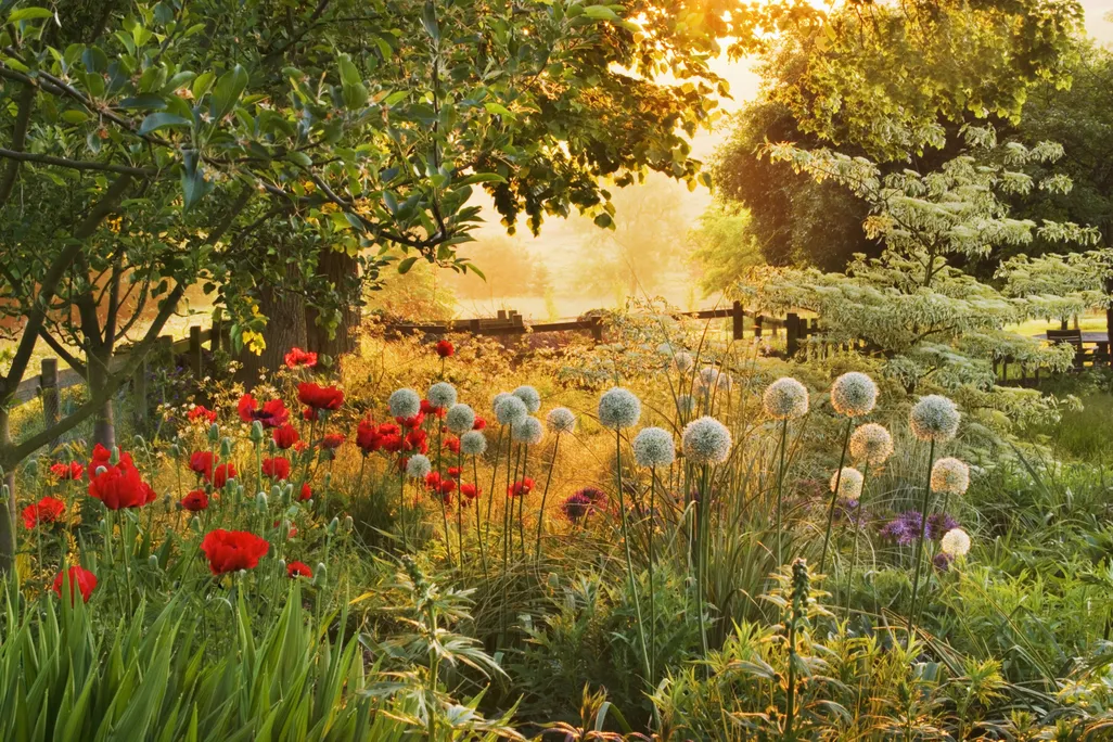 garden