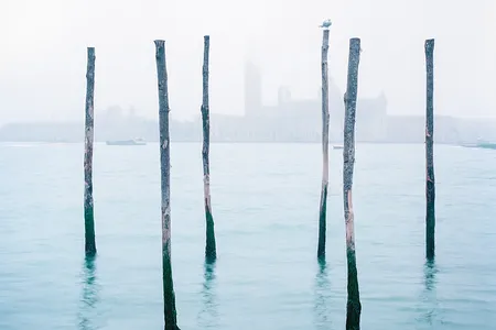 "We pass from one realm of water to another," Brodsky told the author during their late-night walk through the city, which lasted until the first rays of dawn glinted over the sea.