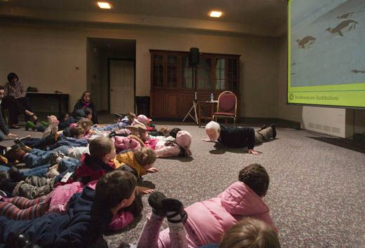 Penquin-Crawl-51.jpg
