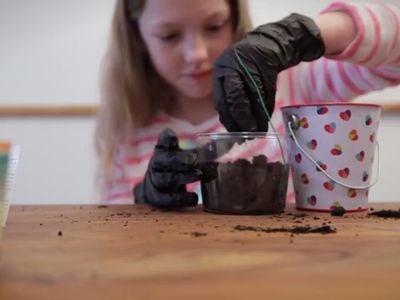 Using dirt containing bacteria that generate electricity, kids can build their own mud batteries. 