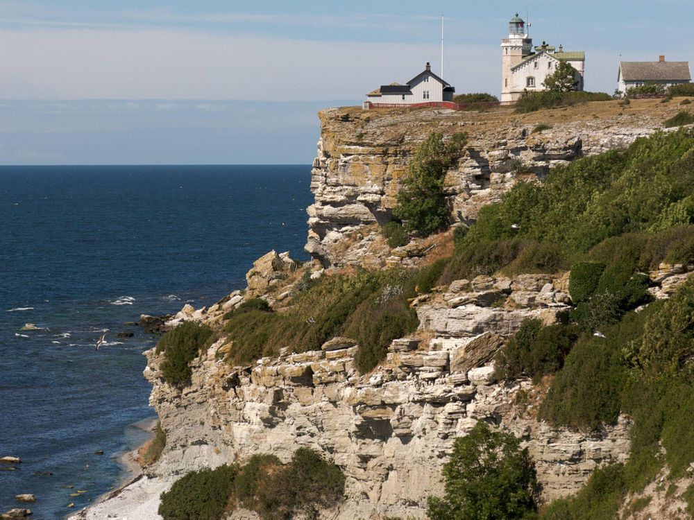 A photo of a cliff with a lighthouse. Birds can be seen standing on the cliff. 
