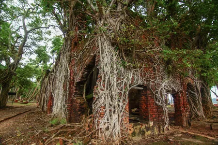 Once touted as the Paris of the East, Ross Island has now been reclaimed by nature.