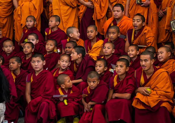 Monks at Dharmsala thumbnail