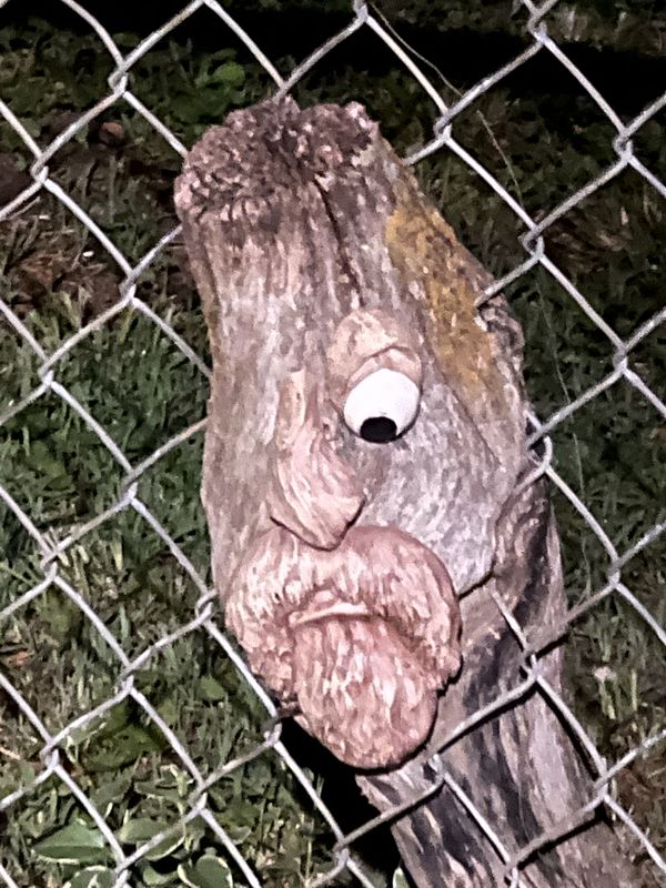 The bogeyman in my backyard. thumbnail