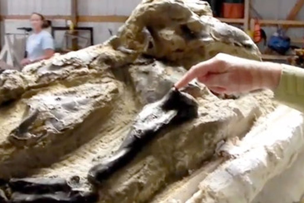 dueing-dinosaurs-youtube.jpg