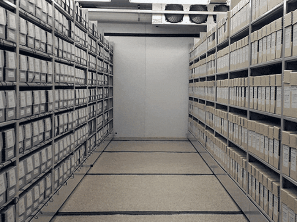 Archival Career Advice (1).gif