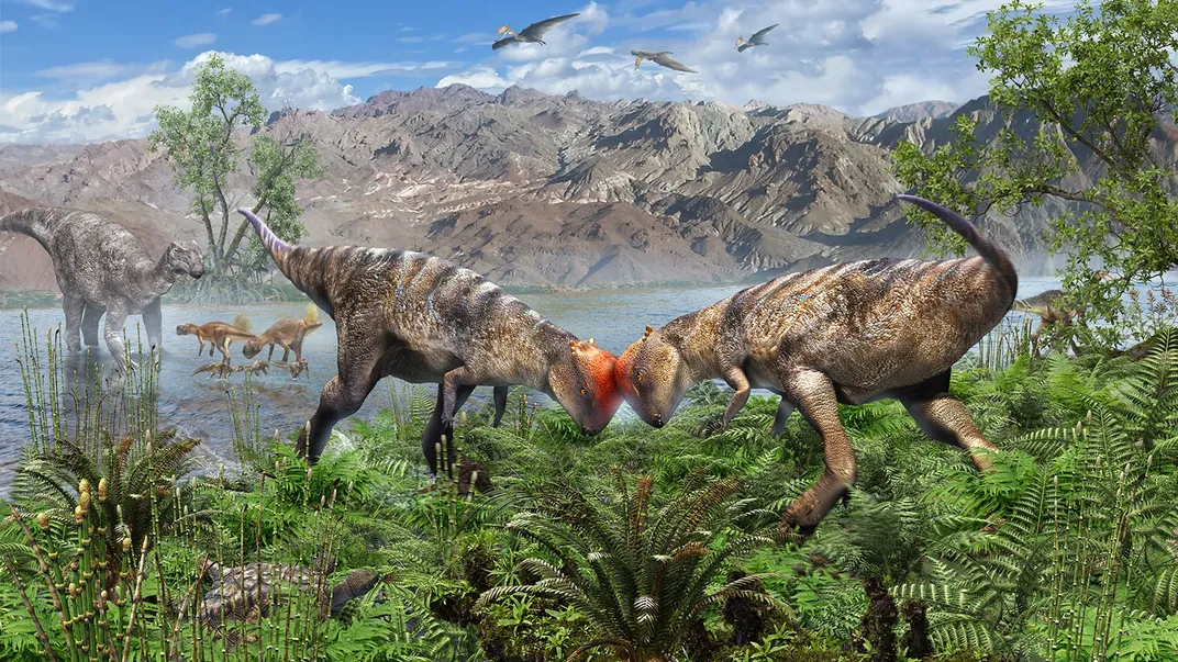 an illustration of two dome-headed dinosaurs headbutting each other in front of a watering hole
